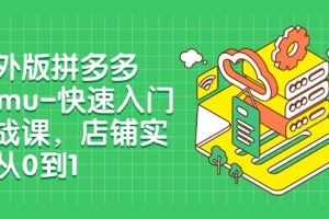 外版拼多多Temu-快速入门实战课，店铺实战从0到1（12节课）