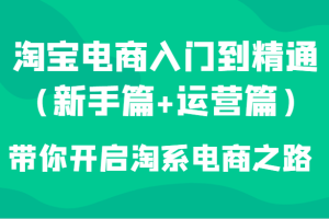 淘宝电商入门到精通（新手篇+运营篇）带你开启淘系电商之路