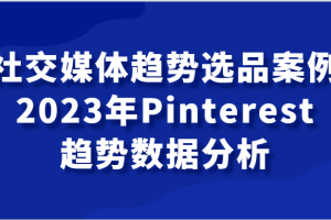 社交媒体趋势选品案例，2023年Pinterest趋势数据分析课