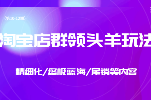 淘宝店群领头羊玩法，精细化/终极蓝海/尾销等内容（第10-12期）