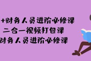 AI + 财务人员进阶必修课二合一视频打包课，财务人员进阶必修课