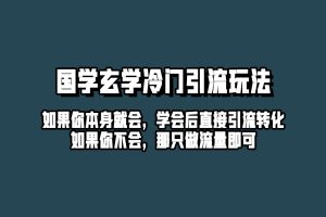 抖音玄学冷门玩法起号保姆级教程，单日引流100+精准玄学粉