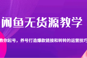 闲鱼无货源教学，教你起号，养号打造爆款链接以及转转的运营技巧