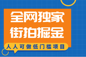 全网独家一街拍掘金，低门槛人人可做的赚钱项目