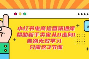 小红书电商·运营精通课，帮助新手卖家从0走向1 告别无效学习（17节视频课）