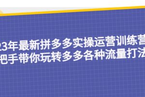 23年最新拼多多实操运营训练营：手把手带你玩转多多各种流量打法