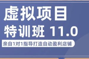 虚拟项目特训班（10.0+11.0），0成本获取虚拟素材，0基础打造自动盈利店铺