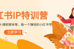 小红书IP特训营：从搭建-制作-爆款脚本等等，做一个赚钱的小红书号