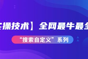 全网最牛最全的“搜索自定义”系列！【实操技术】价值698元