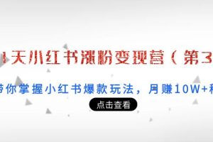 21天小红书涨粉变现营（第3期）：带你掌握小红书爆款玩法，月赚10W+秘密（无水印）