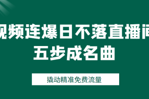 视频连爆日不落直播间五步成名曲，撬动精准免费流量（价值1980元）