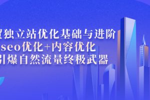 外贸独立站优化基础与进阶，seo优化+内容优化+引爆自然流量终极武器