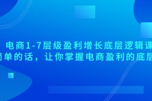 电商1-7层级盈利增长底层逻辑课：用简单的话，让你掌握电商盈利的底层逻辑