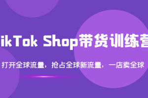 TikTok Shop带货训练营，打开全球流量，抢占全球新流量，一店卖全球（第14期）