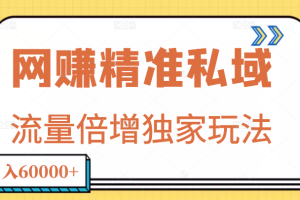 网赚精准私域月入60000+项目,流量倍增独家玩法