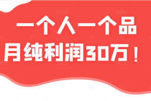 某公众号付费文章：一个人一个品月纯利润30万的蓝海电商经典案例！