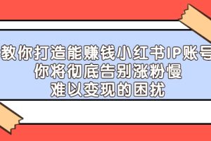 教你打造能赚钱小红书IP账号：你将彻底告别涨粉慢，难以变现的困扰