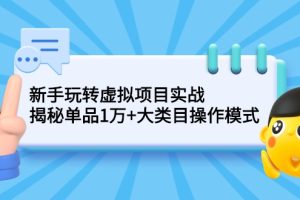 新手玩转虚拟项目实战，揭秘单品1万+大类目操作模式