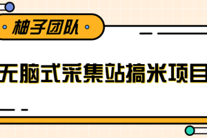 无脑式采集站搞米项目，零基础可批量实现年入百万