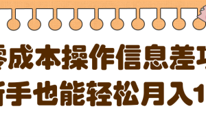 零成本操作信息差项目，新手也能轻松月入1W+【视频教程】