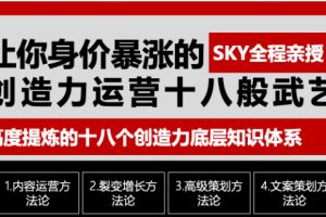 让你的身价暴涨的创造力运营十八般武艺 高度提炼的18个创造力底层知识体系