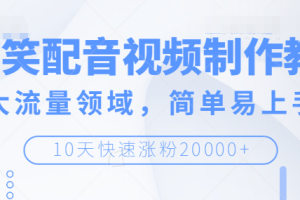 搞笑配音视频制作教程，大流量领域，简单易上手，快速涨粉20000+【无水印】