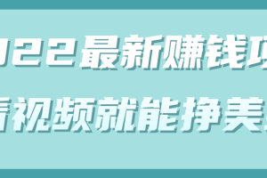 2022年最新赚钱项目，简单看视频就能轻松挣美金【视频教程】