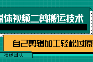 详细教你自媒体视频二剪搬运技术，自己加工轻松过原创【视频教程】