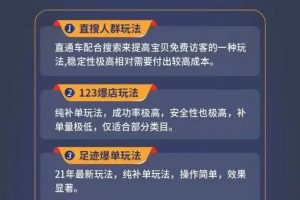 数据蛇淘宝2021最新三大补单玩法+稽查规则，降低90%被抓概率