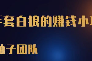 一个空手套白狼的赚钱小项目，零成本抢茅台一单利润500+【视频教程】