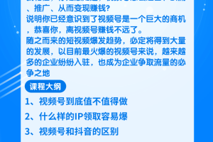 柚子团队内部项目课程：视频号运营+引流+推广+变现，全套赚钱攻略