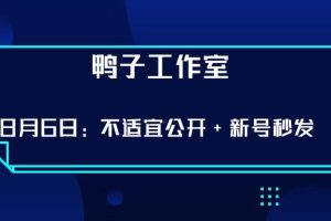 鸭子工作室8.6更新：不适宜公开+新号秒发 最新技术，不需要借助软件