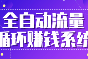 九京：全自动流量循环赚钱系统-·五位一体盈利模型特训营