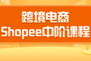 2020跨境电商蓝海新机会-SHOPEE中阶课程：爆款的快速打造全流程（27节课）