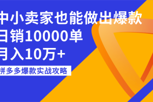 拼多多爆款实战攻略：中小卖家也能做出爆款，日销10000单，月入10万+