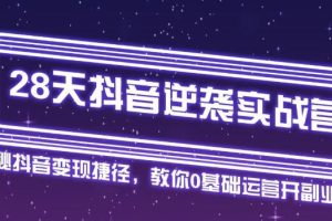 28天抖音逆袭实战营，从0学习抖音运营2个月，每天几小时，快速开启副业月入2w+