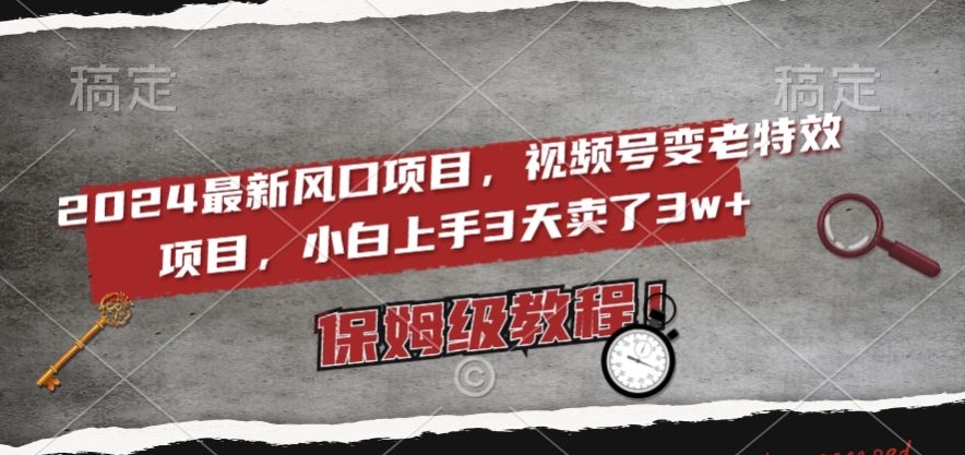 2024最新风口项目，视频号变老特效项目，电脑小白上手3天卖了3w+，保姆级教程【揭秘】