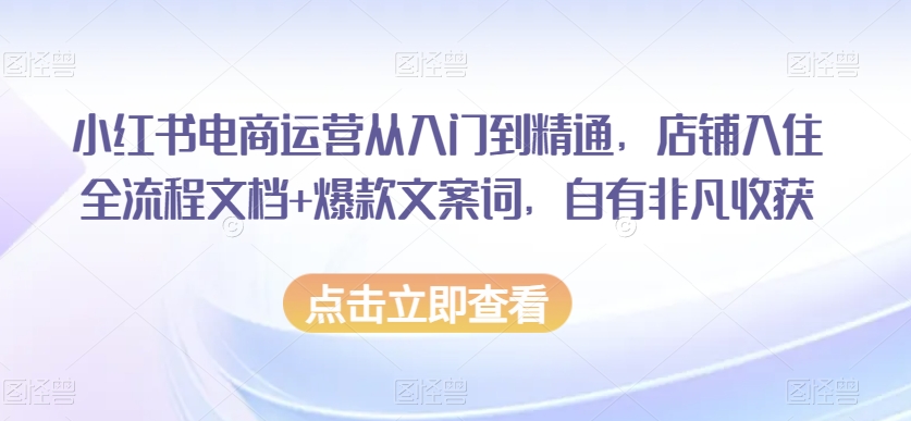 小红书电商运营从入门到精通，店铺入住全流程文档+爆款文案词，自有非凡收获