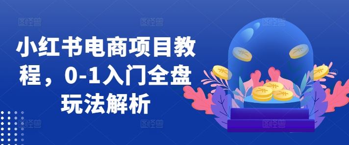 小红书电商项目教程，0-1入门全盘玩法解析