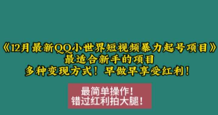 12月最新QQ小世界短视频暴力起号项目，最适合新手的项目，多种变现方式