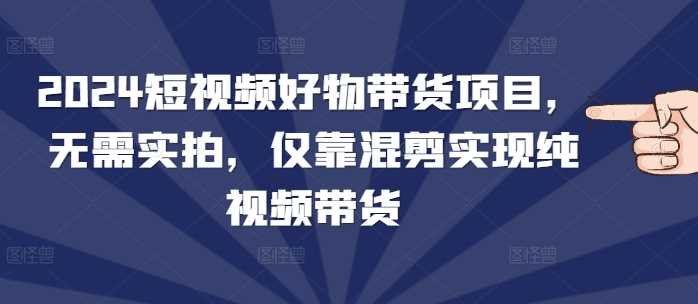 2024短视频好物带货项目，无需实拍，仅靠混剪实现纯视频带货